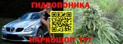 эйфоретик Бузулук