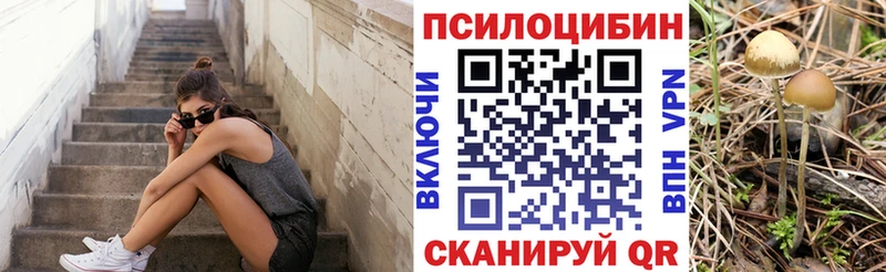 Псилоцибиновые грибы MAGIC MUSHROOMS  площадка официальный сайт  Тольятти 