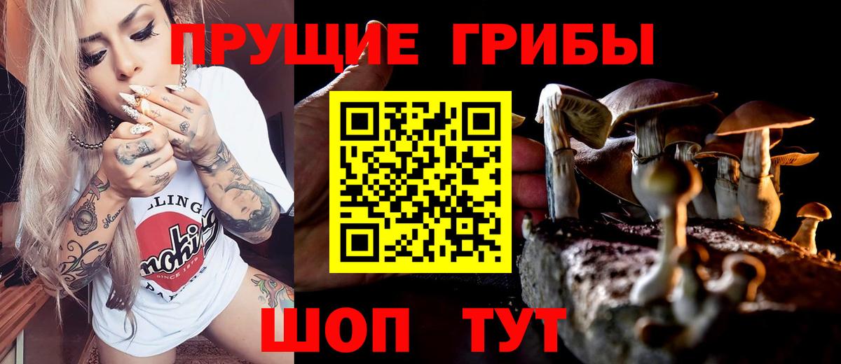 Псилоцибиновые грибы MAGIC MUSHROOMS Тольятти