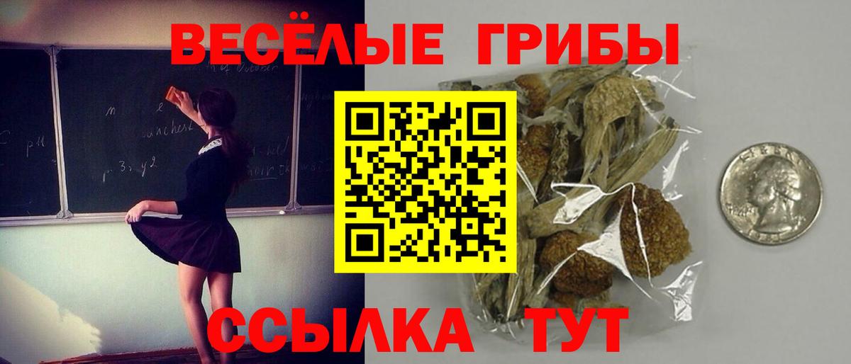 Псилоцибиновые грибы Psilocybine cubensis  Вход с VPN  Галлюциногенные грибы мухоморы  Тольятти 